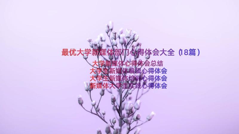 最优大学新媒体部门心得体会大全（18篇）