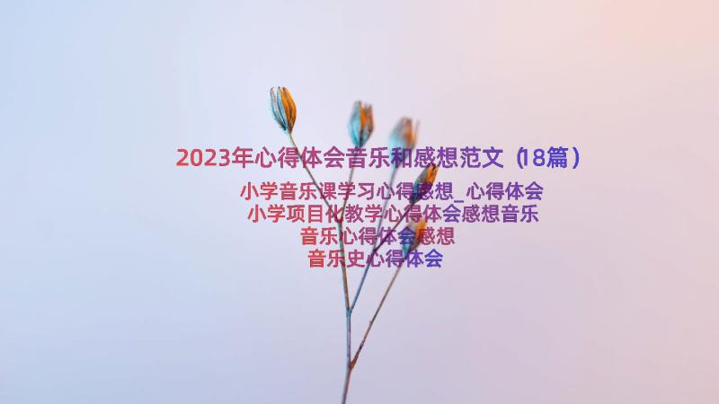 2023年心得体会音乐和感想范文（18篇）