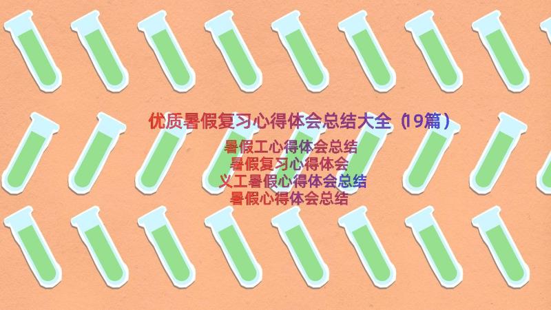 优质暑假复习心得体会总结大全（19篇）