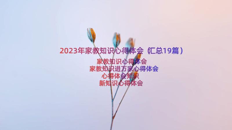 2023年家教知识心得体会（汇总19篇）