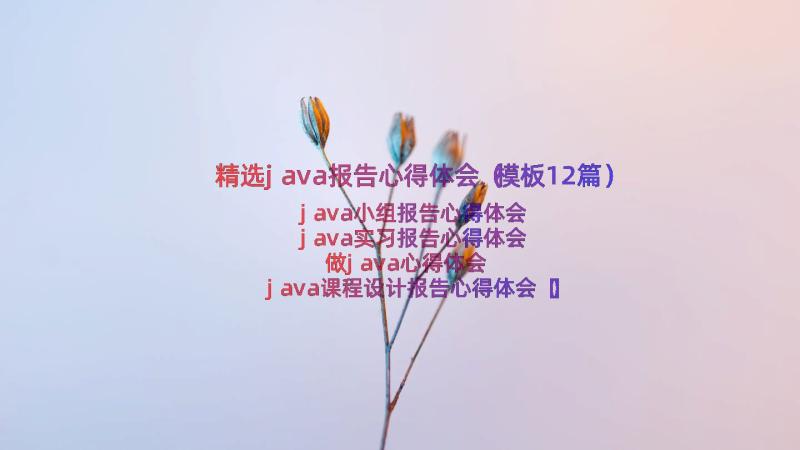 精选java报告心得体会（模板12篇）