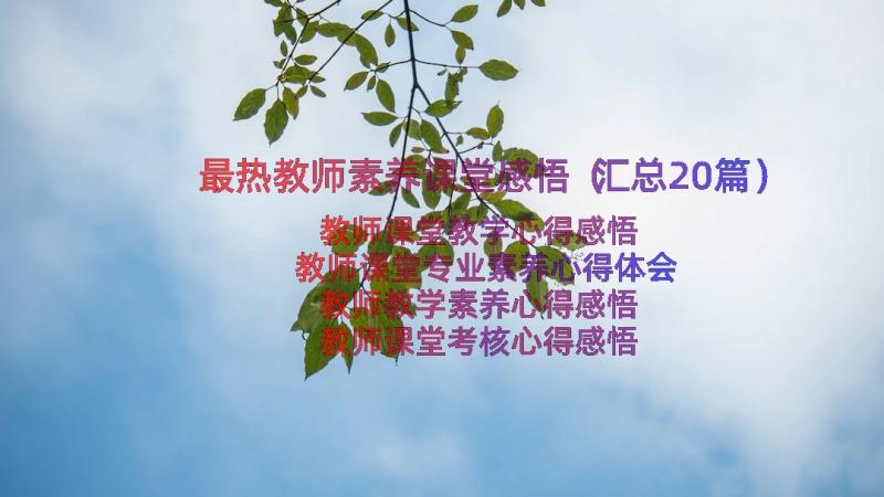 最热教师素养课堂感悟（汇总20篇）