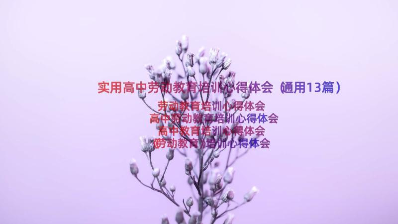 实用高中劳动教育培训心得体会（通用13篇）