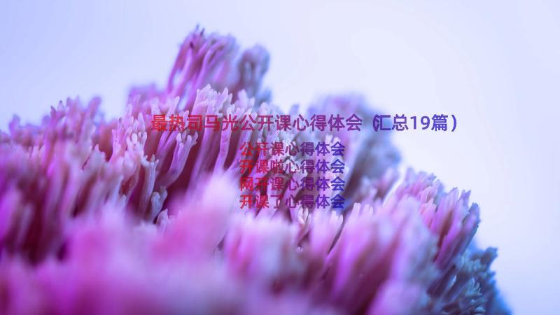 最热司马光公开课心得体会（汇总19篇）