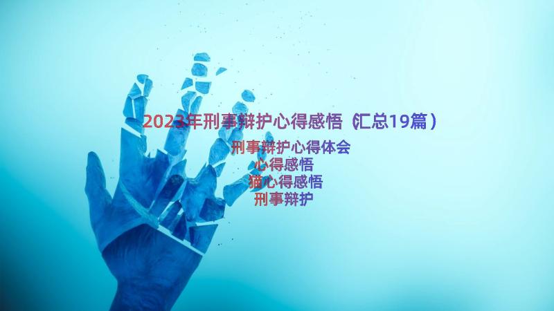 2023年刑事辩护心得感悟（汇总19篇）