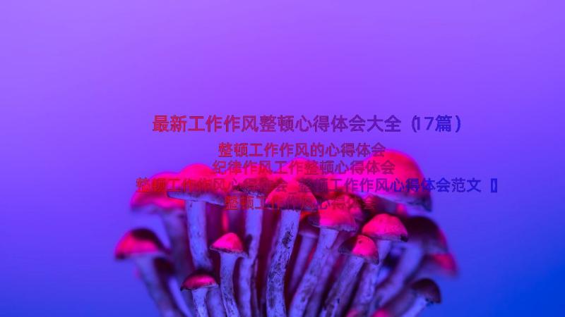 最新工作作风整顿心得体会大全（17篇）