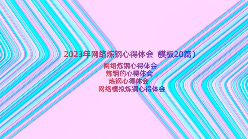 2023年网络炼钢心得体会（模板20篇）