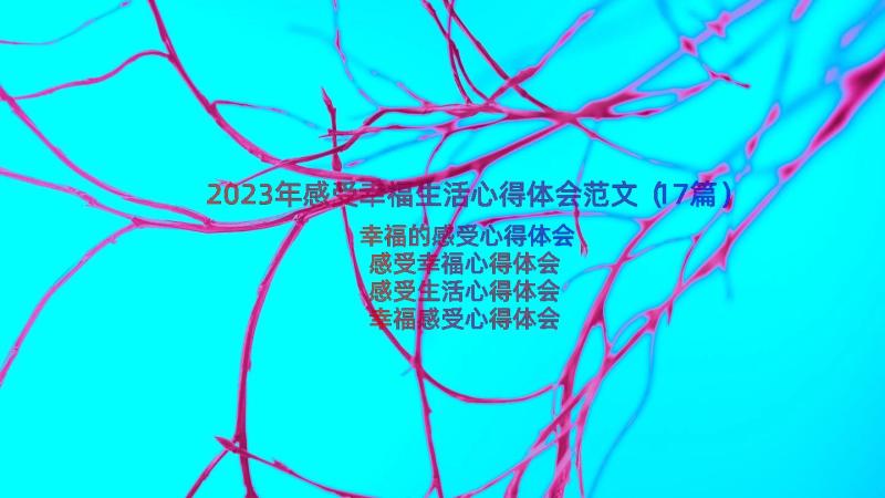 2023年感受幸福生活心得体会范文（17篇）