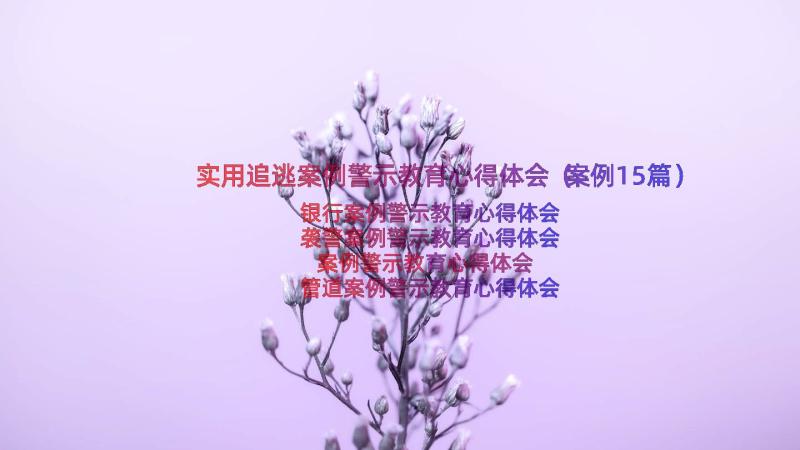 实用追逃案例警示教育心得体会（案例15篇）