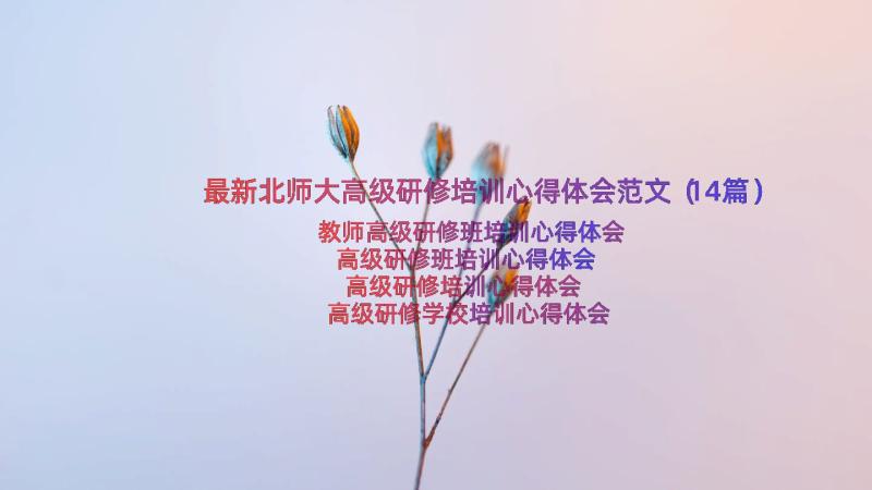 最新北师大高级研修培训心得体会范文（14篇）