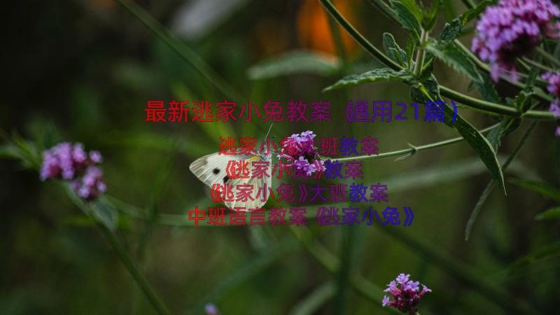 最新逃家小兔教案（通用21篇）