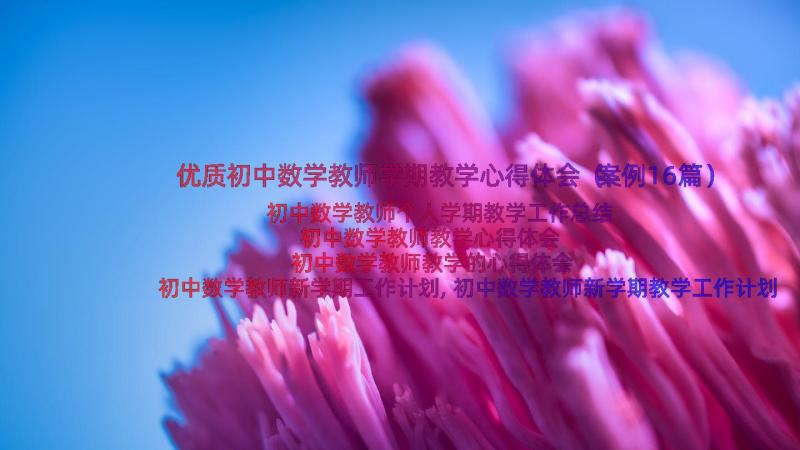 优质初中数学教师学期教学心得体会（案例16篇）