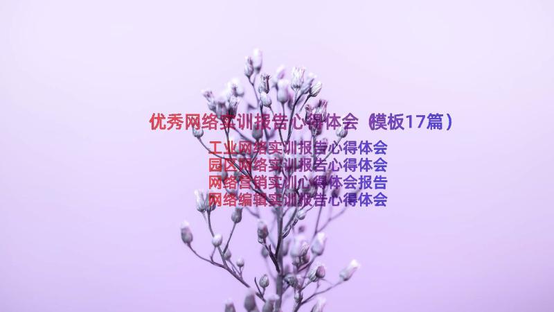 优秀网络实训报告心得体会（模板17篇）