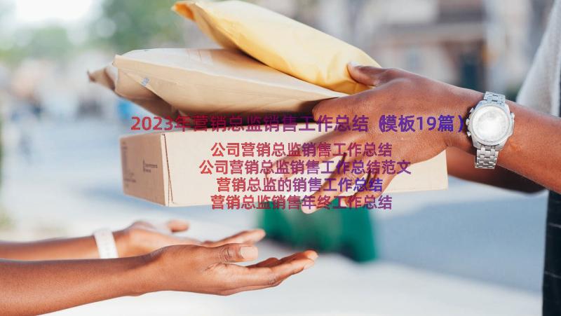 2023年营销总监销售工作总结（模板19篇）