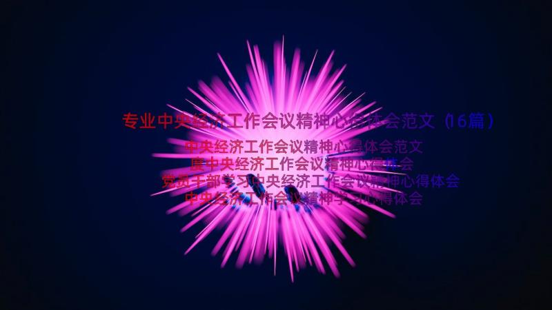 专业中央经济工作会议精神心得体会范文（16篇）