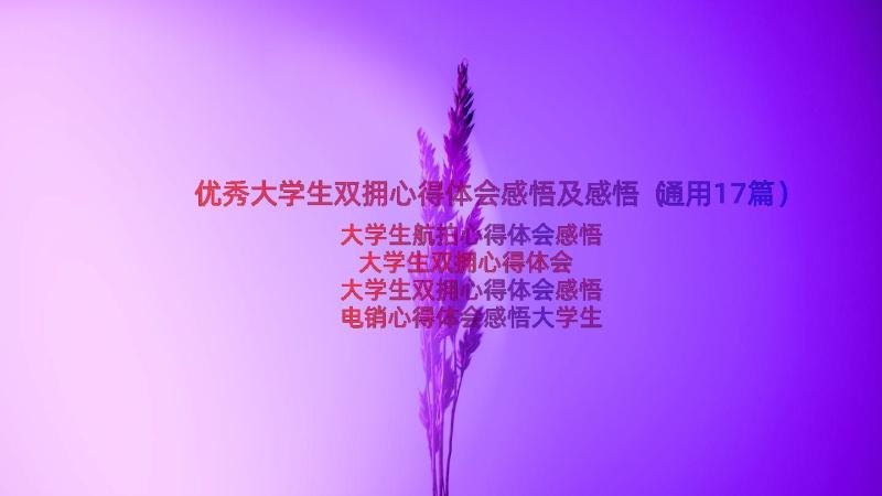 优秀大学生双拥心得体会感悟及感悟（通用17篇）