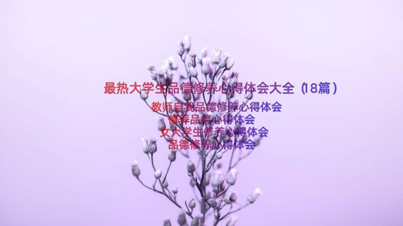 最热大学生品德修养心得体会大全（18篇）