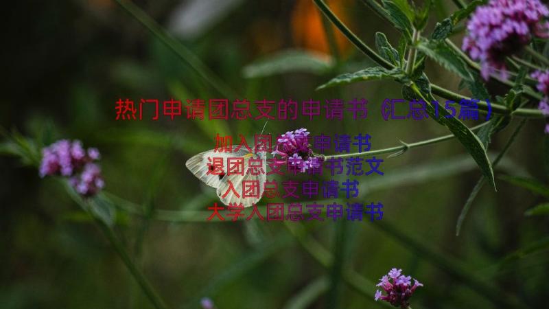 热门申请团总支的申请书（汇总15篇）