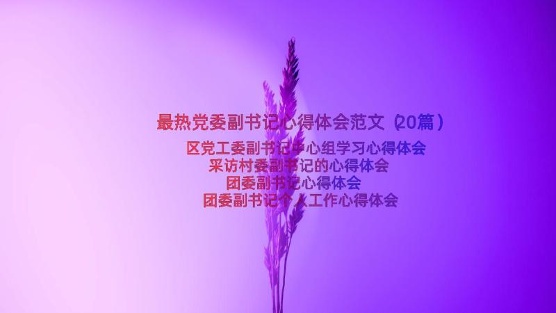 最热党委副书记心得体会范文（20篇）