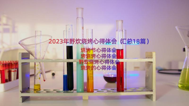 2023年野炊烧烤心得体会（汇总18篇）