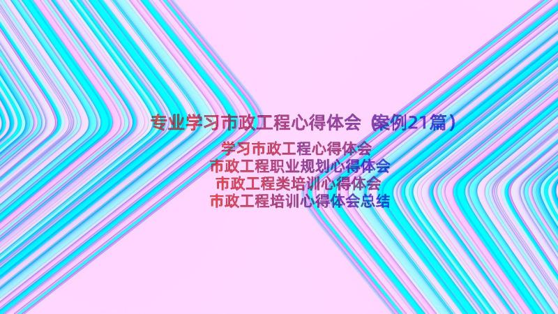 专业学习市政工程心得体会（案例21篇）