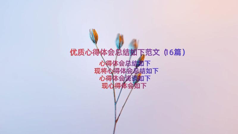 优质心得体会总结如下范文（16篇）