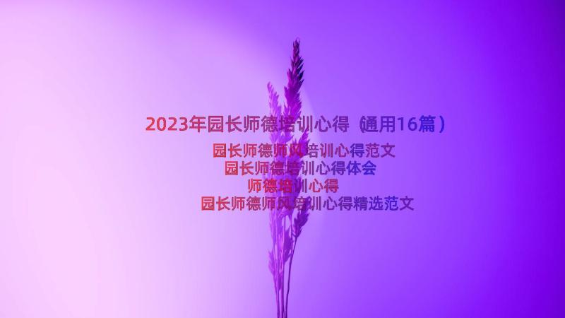 2023年园长师德培训心得（通用16篇）