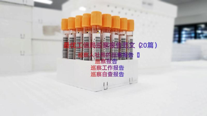 最优工信局巡察报告范文（20篇）