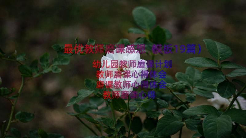 最优教师磨课感想（模板19篇）