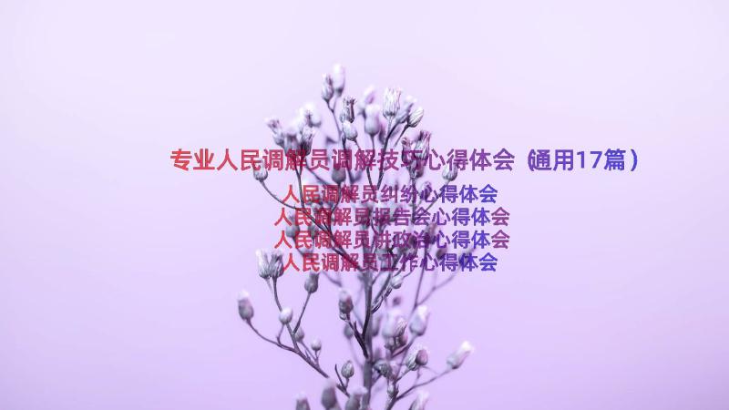 专业人民调解员调解技巧心得体会（通用17篇）