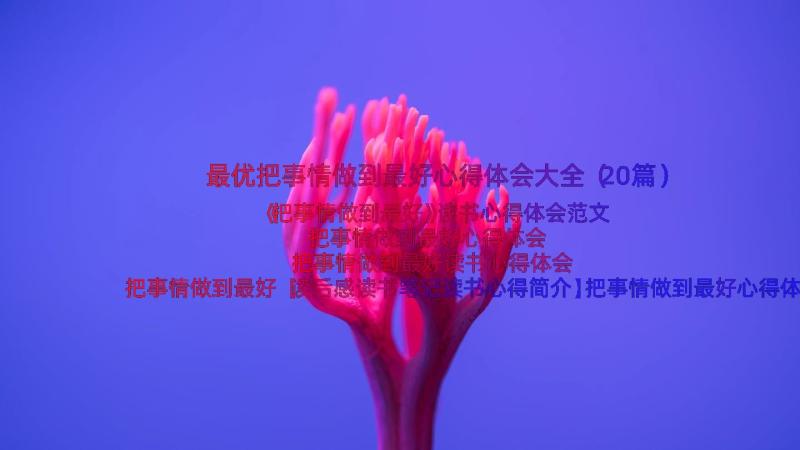 最优把事情做到最好心得体会大全（20篇）