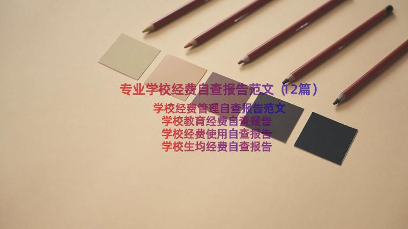 专业学校经费自查报告范文（12篇）