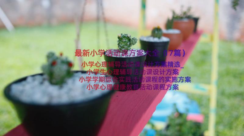 最新小学活动课方案大全（17篇）