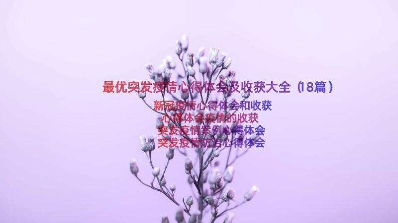 最优突发疫情心得体会及收获大全（18篇）