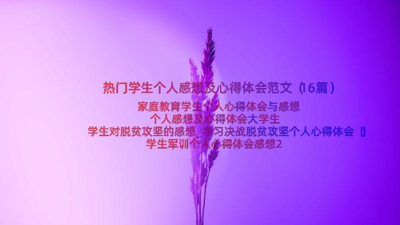 热门学生个人感想及心得体会范文（16篇）