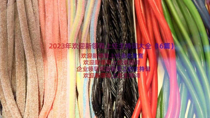 2023年欢迎新领导上任主持词大全（16篇）