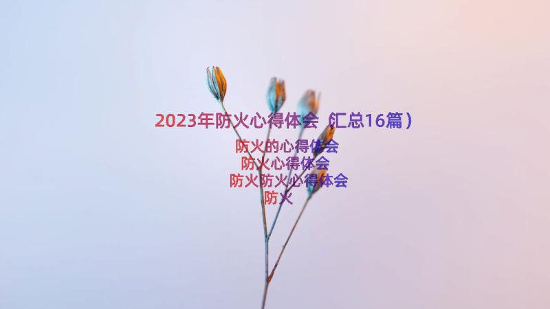 2023年防火心得体会（汇总16篇）