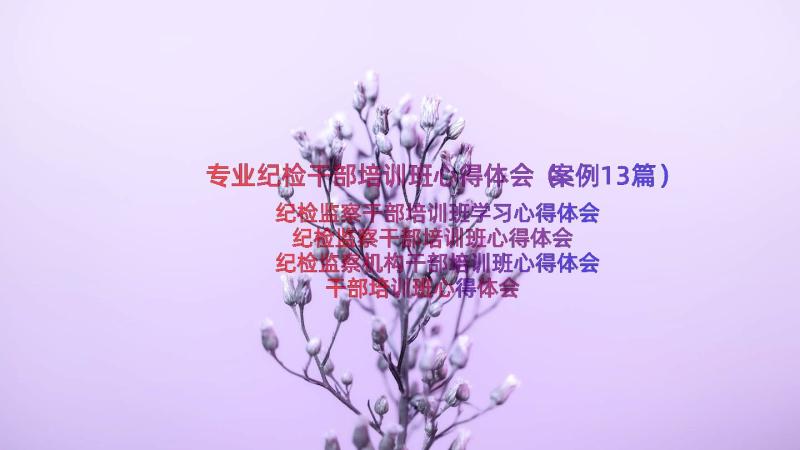 专业纪检干部培训班心得体会（案例13篇）