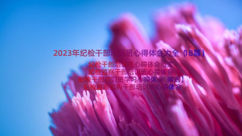 2023年纪检干部培训班心得体会大全（18篇）