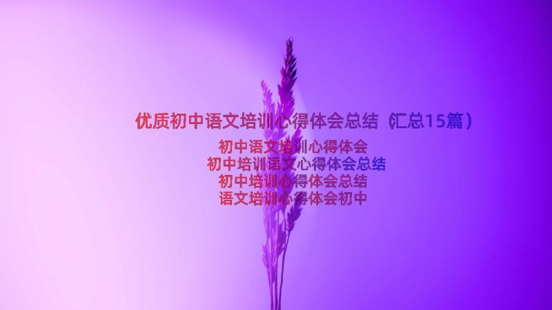 优质初中语文培训心得体会总结（汇总15篇）