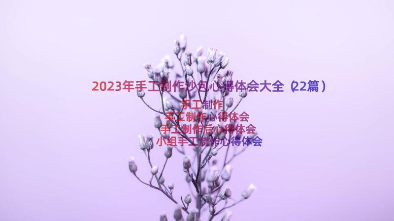 2023年手工制作沙包心得体会大全（22篇）