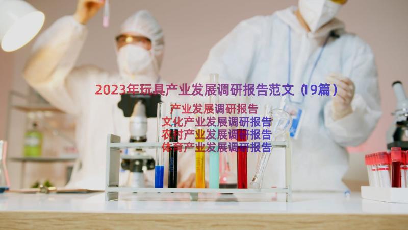 2023年玩具产业发展调研报告范文（19篇）