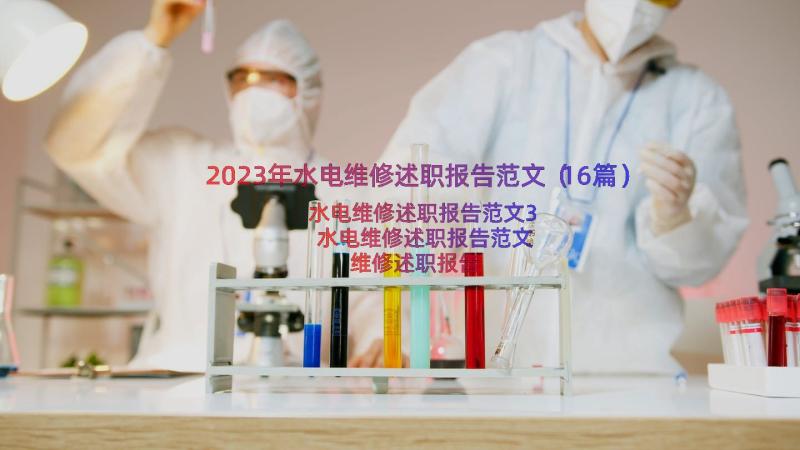 2023年水电维修述职报告范文（16篇）