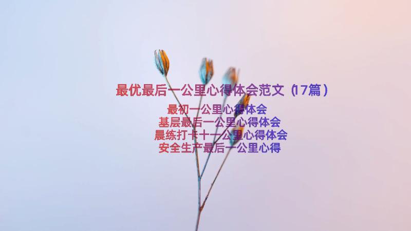 最优最后一公里心得体会范文（17篇）