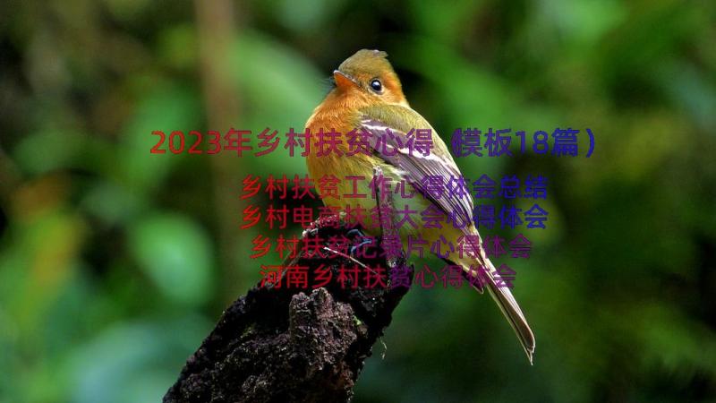 2023年乡村扶贫心得（模板18篇）