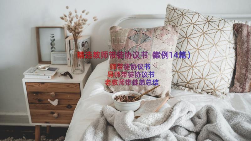 精选教师带徒协议书（案例14篇）