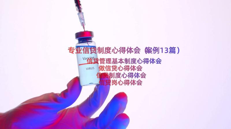 专业信贷制度心得体会（案例13篇）