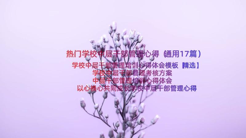 热门学校中层干部管理心得（通用17篇）