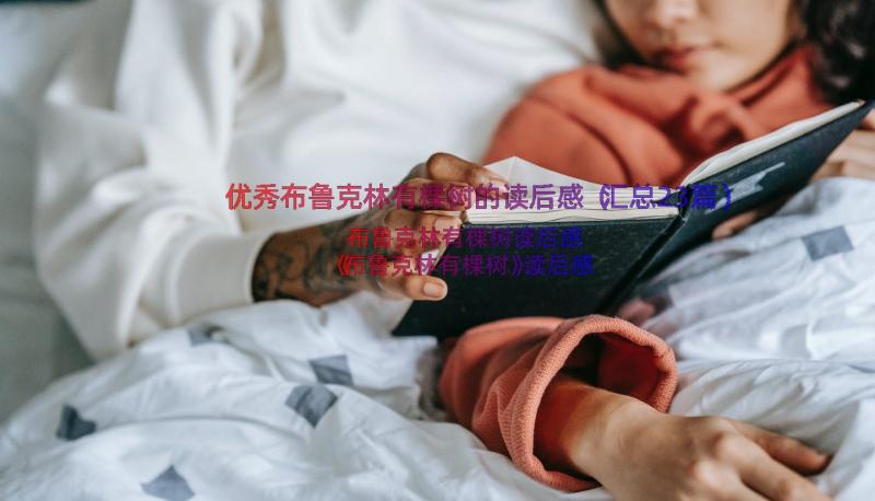 优秀布鲁克林有棵树的读后感（汇总23篇）