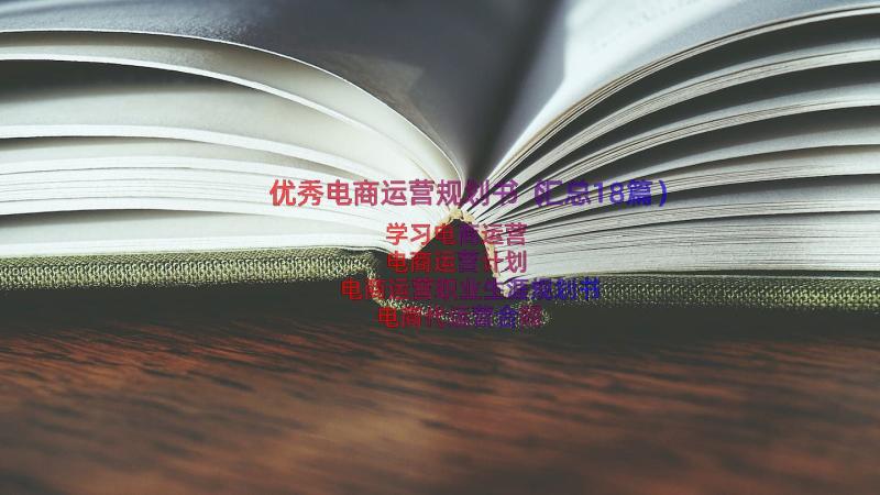 优秀电商运营规划书（汇总18篇）